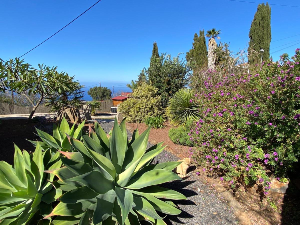 Casa Florita *